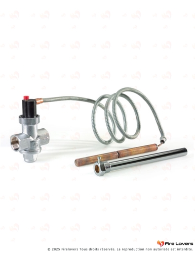 Vanne automatique de décharge thermique DSA