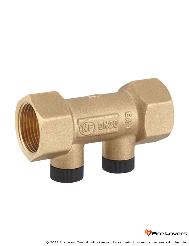 Clapet EA anti-pollution FF...