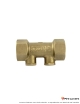 Clapet EA anti-pollution FF 1/2'' + 2 bouchons laiton