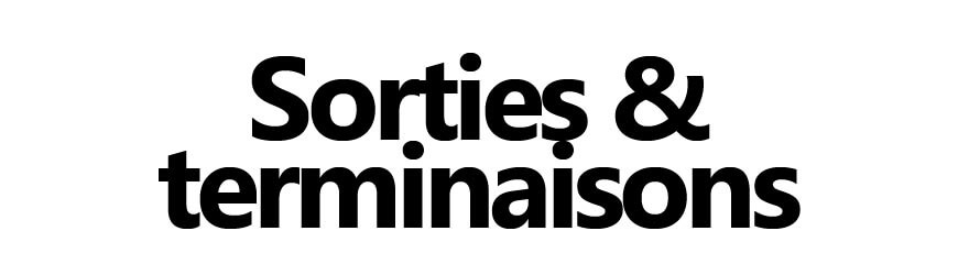 Sorties & terminaisons double paroi isolés | Conduits extérieurs poêles | Firelovers